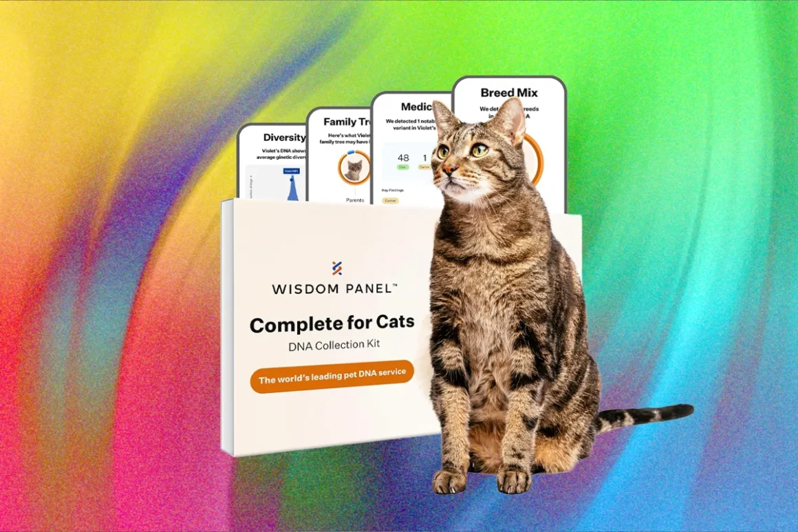 The best at home pet dna test kits tested on my cats